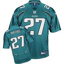 jacksonville jaguars 27 rashean mathis team color jersey- new for 2009!