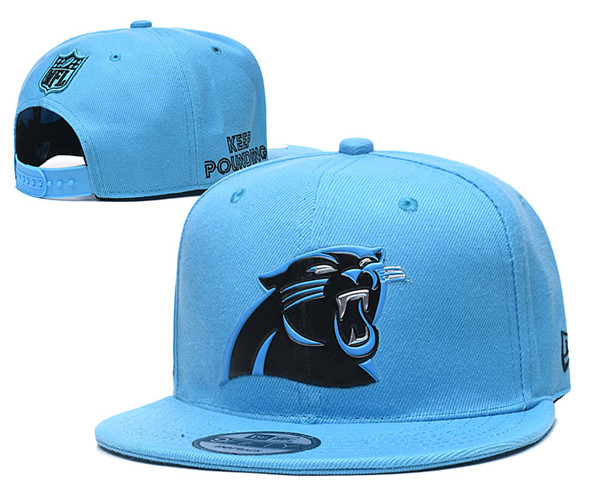 Panthers Team Logos Adjustable Hat YD
