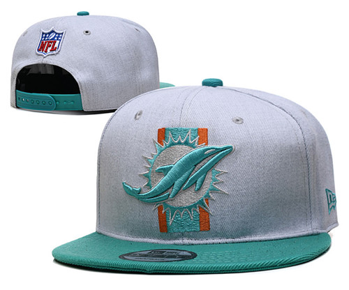 Dolpins Gray Snapback Hat --YD