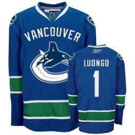 nhl vancouver canucks #1 roberto luongo blue jersey