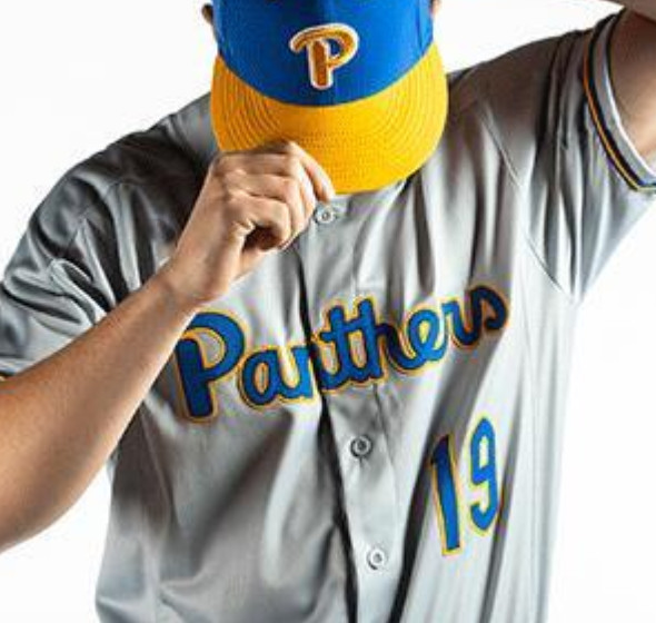 Custom PITT Pittsburgh Panthers Gray Baseball Jersey