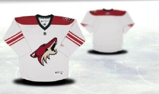 phoenix coyotes youth white jersey (blank or customized)