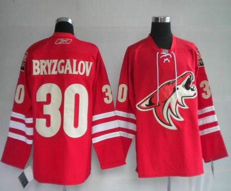 phoenix coyotes 30# bryzgalov red jerseys