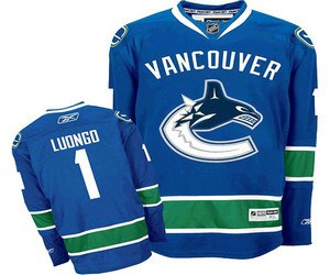 youth nhl vancouver canucks #1 luongo blue