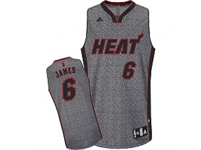 nba miami heat #6 james grey(static fashion swingman)